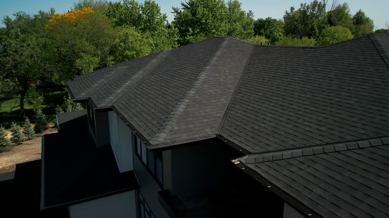 Best Roof Ventilation Installation  in South Chicago Heights, IL