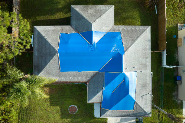 Best Skylight Installation and Repair  in South Chicago Heights, IL