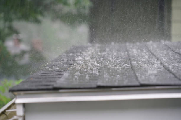 Best Rubber Roofing (EPDM, TPO)  in South Chicago Heights, IL